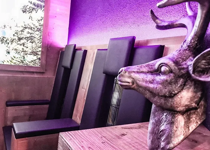 拉森霍夫酒店 酒店